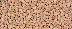 Sesame Seed Screening Machine