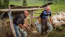 Sheep Milking Equipments
