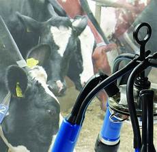 Sheepm Milking Systems