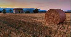 Silage Bags