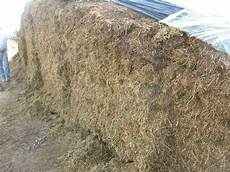 Silage Bags