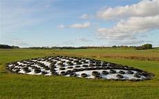 Silage Group Products