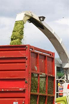 Silage Harvesting