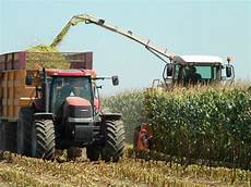 Silage Harvesting