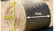 Silage Hay