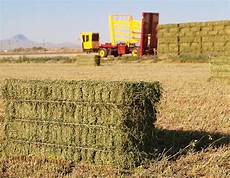 Silage Hay