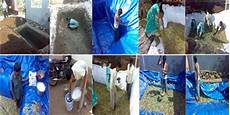 Silage Making Procedure