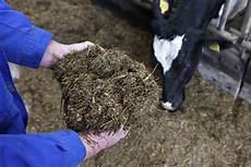 Silage Making