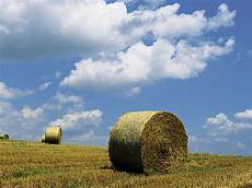 Silages