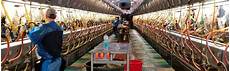Single Milking Unit