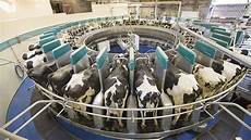 Single Milking Unit