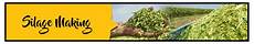Single Row Maize Silage Choppers