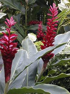 Soil And Fertilizer