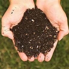 Soil Conditioner In The Field
