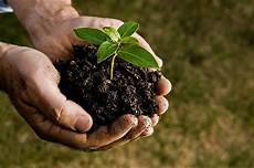 Soil Conditioner In The Greenhouses