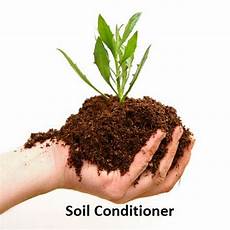 Soil Conditioner In The Greenhouses