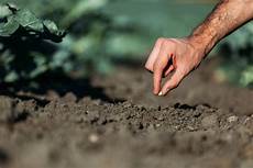 Soil Conditioners