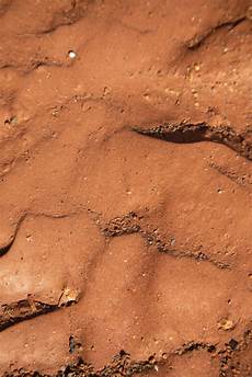 Soil Conditoner