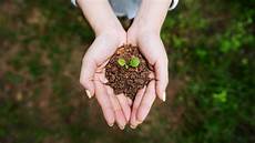 Soil Conservation Project