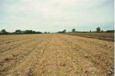 Soil Cultivation