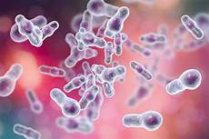 Soil Disinfectants