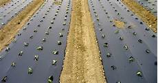 Soil Disinfection Products