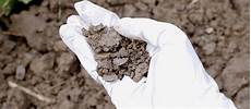 Soil Disinfection