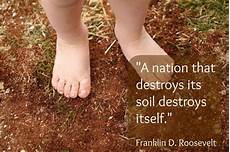 Soil Improvement