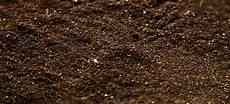 Soil Preparation