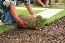 Soil Preparation