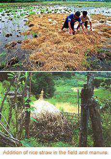 Soil Preparation