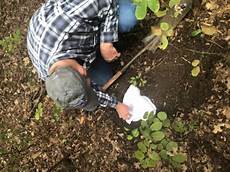 Soil Processors