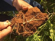 Soil Processors