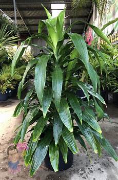 Soil Screens
