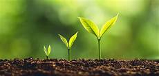 Soil Survey