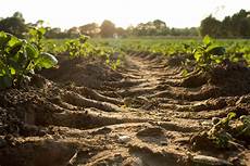 Soil Tilages