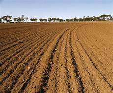 Soil Tilages