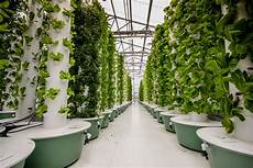 Soilless Growing Equipments