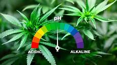 Soilless Growing Equipments