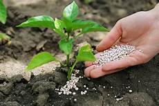 Solid Fertilizers