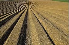 Solid Fertilizers