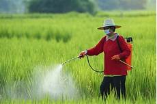 Sprayer Equipments