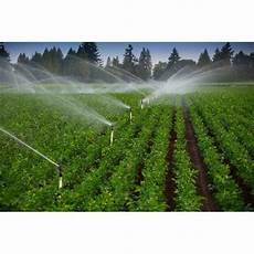Sprinkler Irrigation Pipes