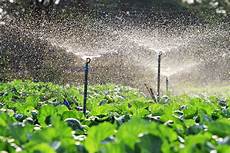Sprinkler Irrigation Pipes