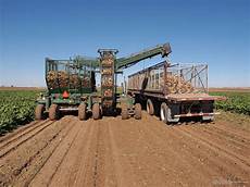 Sugar Beet Harvesting Machineries