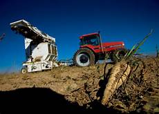 Sugar Beet Harvesting Machines