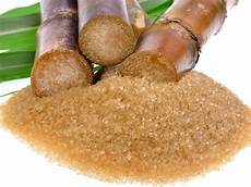 Sugar Cane Hasvesting Trays