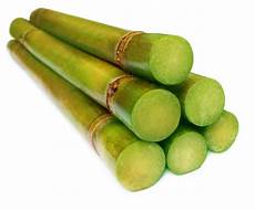 Sugar Cane Hasvesting Trays