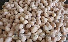 Sugar Melon Seed Extraction Machine With Fan