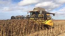 Sunflower Seed Harvester